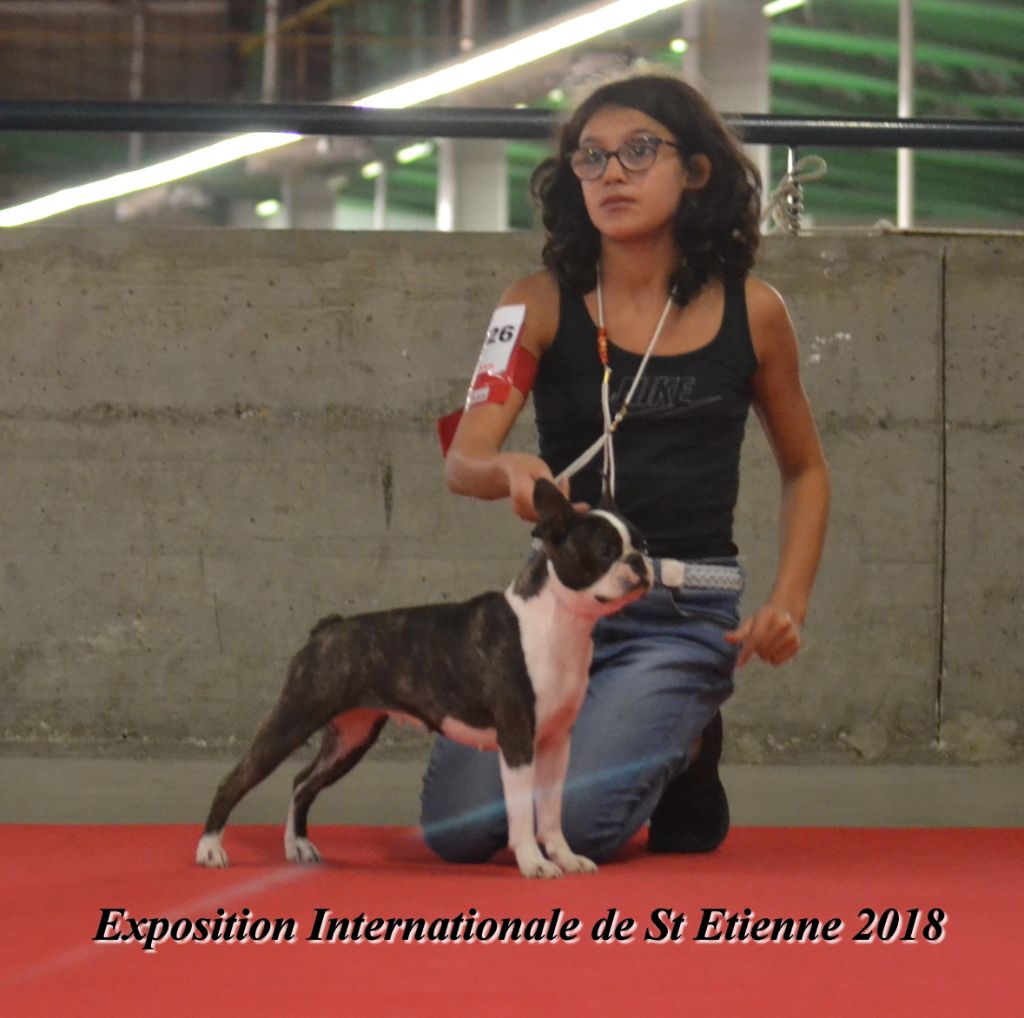 vom norden haus - EXPOSITION INTERNATIONALE DE SAINT ETIENNE 2018